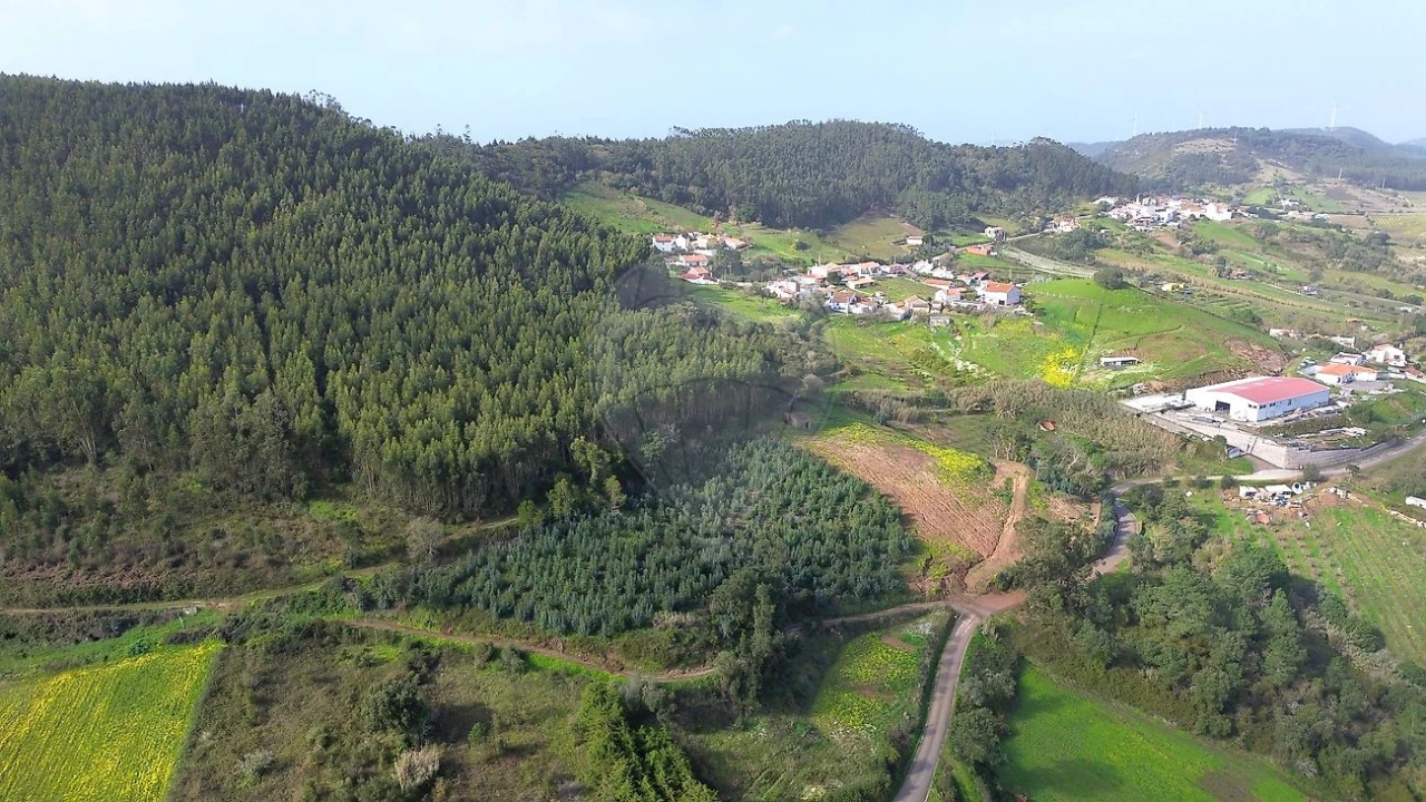 Terreno para Venda em Azueira e Sobral da Abelheira Foto 3