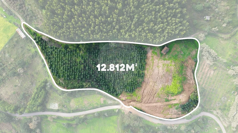 Terreno para Venda em Azueira e Sobral da Abelheira Foto 8