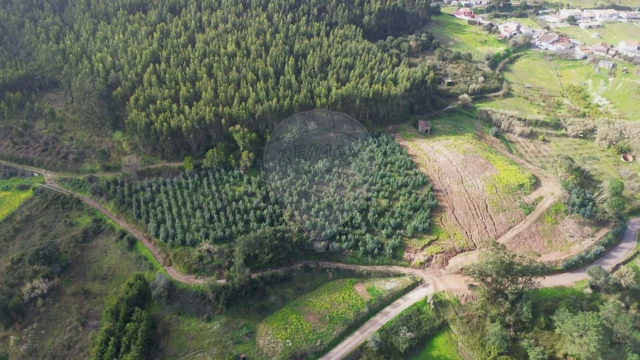Terreno para Venda em Azueira e Sobral da Abelheira Foto 1