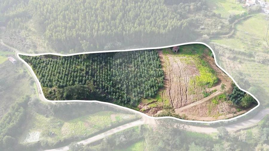 Terreno para Venda em Azueira e Sobral da Abelheira Foto 7