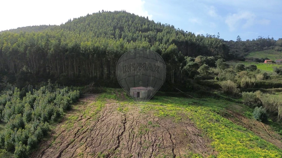 Terreno para Venda em Azueira e Sobral da Abelheira Foto 6