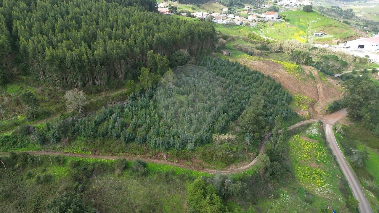 Terreno para Venda em Azueira e Sobral da Abelheira Foto 4