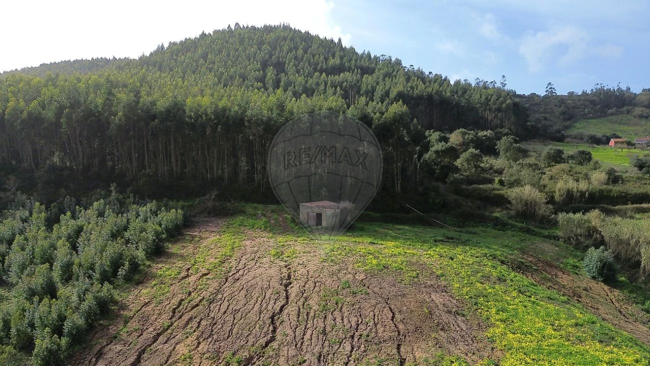 Terreno para Venda em Azueira e Sobral da Abelheira Foto 6