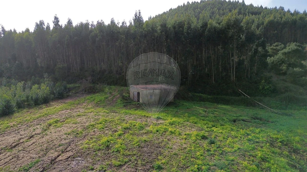 Terreno para Venda em Azueira e Sobral da Abelheira Foto 5