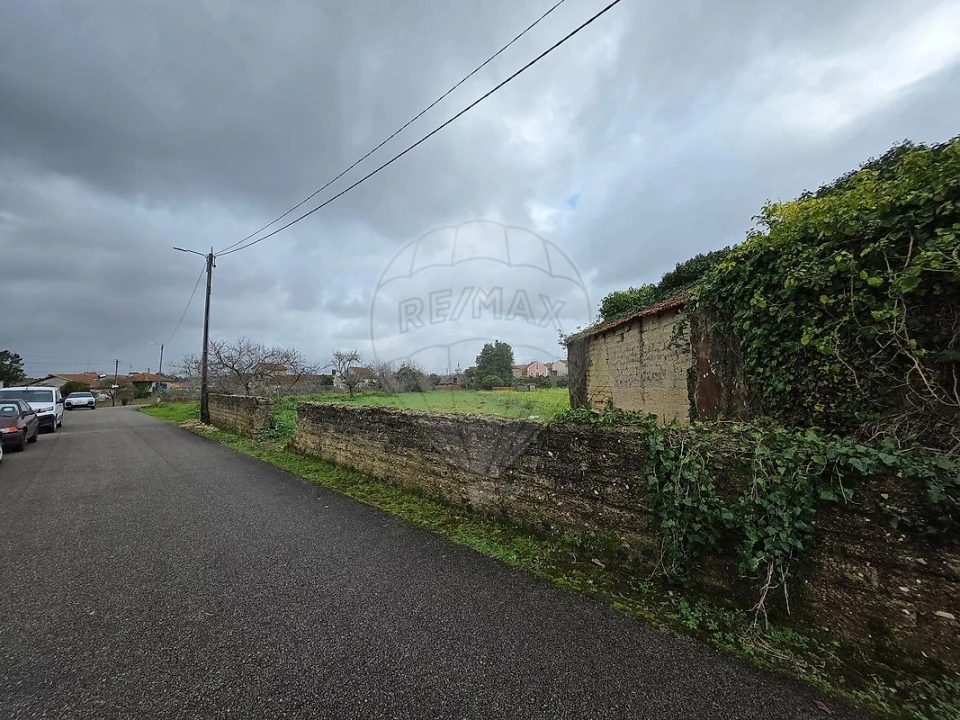 Terreno para Venda em Bustos, Troviscal e Mamarrosa Foto 5