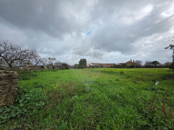 Terreno para Venda em Bustos, Troviscal e Mamarrosa Foto 2