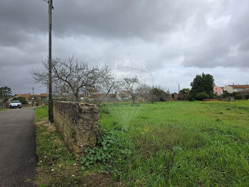Terreno para Venda em Bustos, Troviscal e Mamarrosa Foto 3