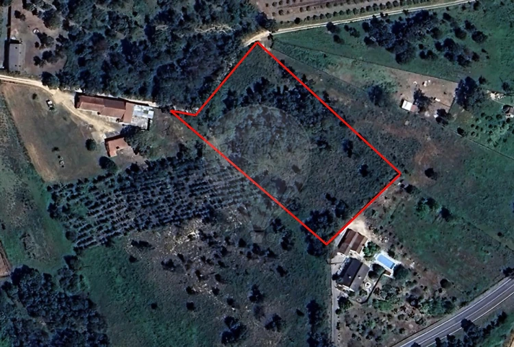 Terreno para Venda em Alcoentre Foto 4