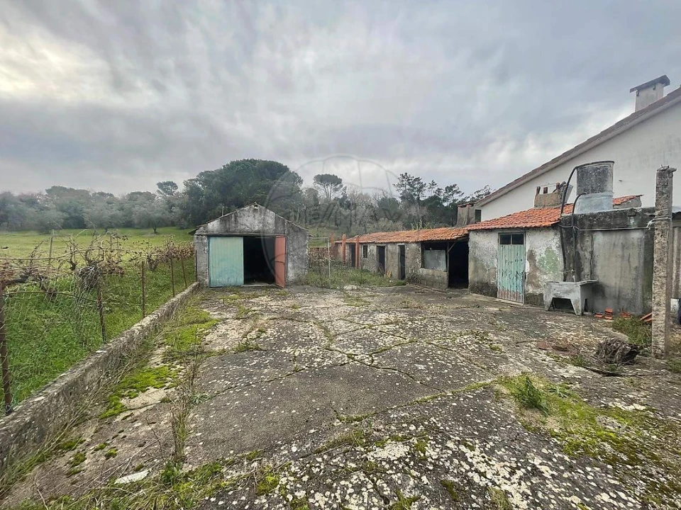 Moradia T2 para Venda em Soure Foto 4