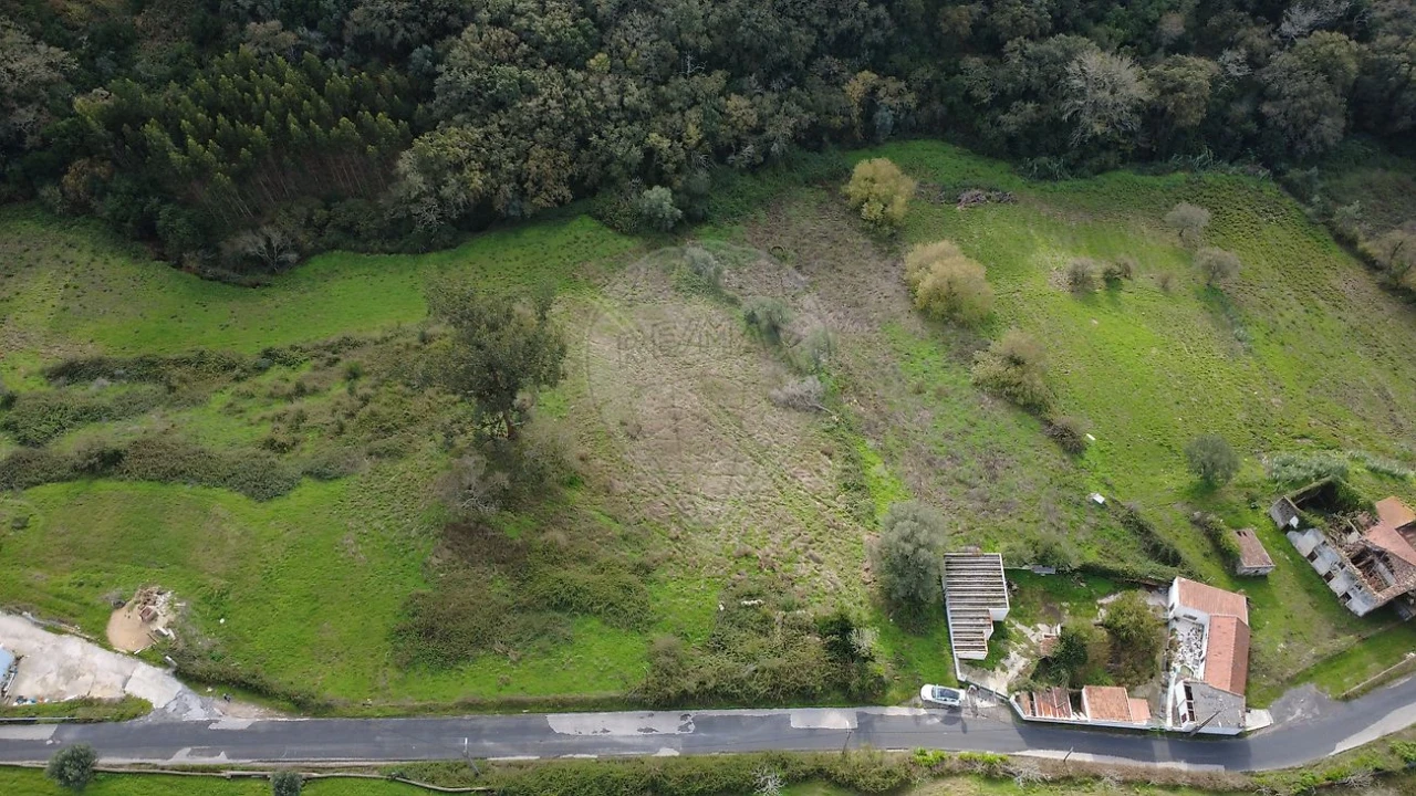 Armazém para Venda em Malveira e São Miguel de Alcainça Foto 6