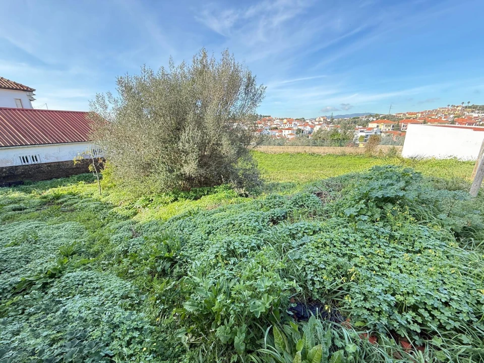 Terreno para Venda em Alcabideche Foto 3