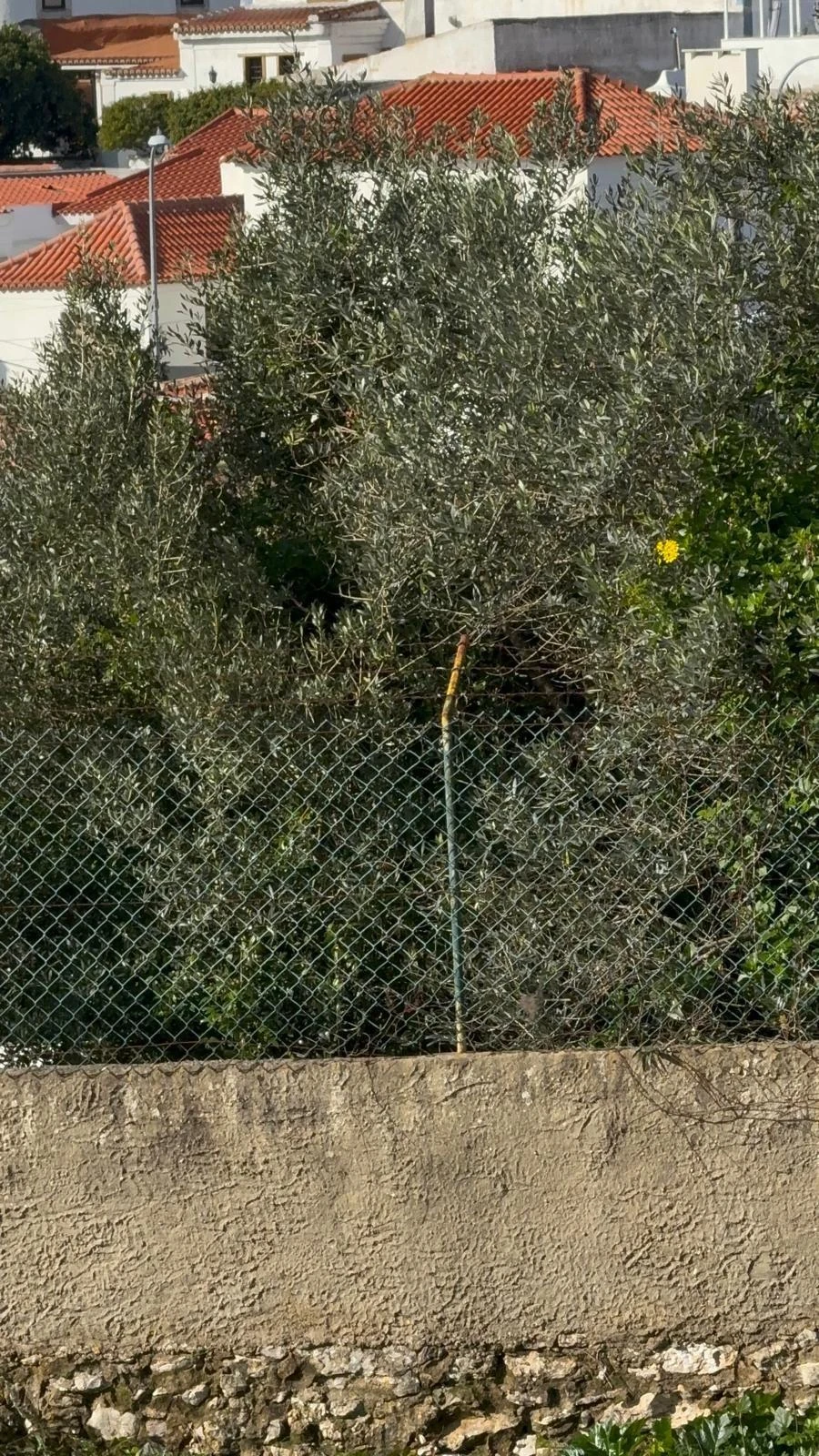 Terreno para Venda em Alcabideche Foto 7