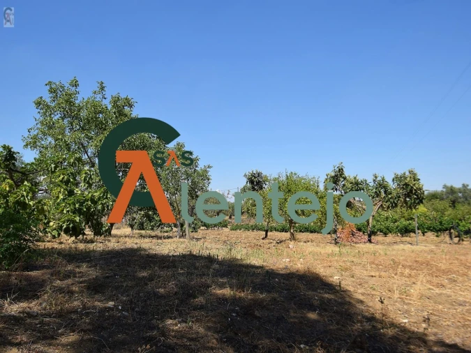 Quinta T4 para Venda em Assunção, Ajuda, Salvador e Santo Ildefonso Foto 32