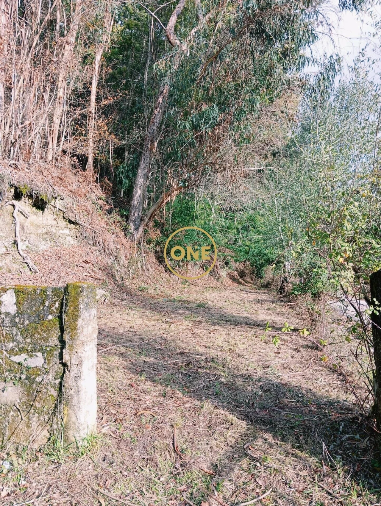 Moradia T3 para Venda em Cantelães Foto 3