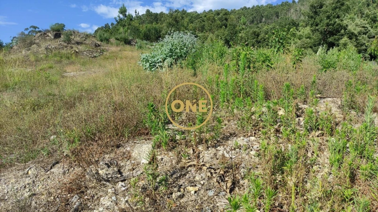 Terreno para Venda em Santo Tirso, Couto (Santa Cristina e São Miguel) e Burgães Foto 3