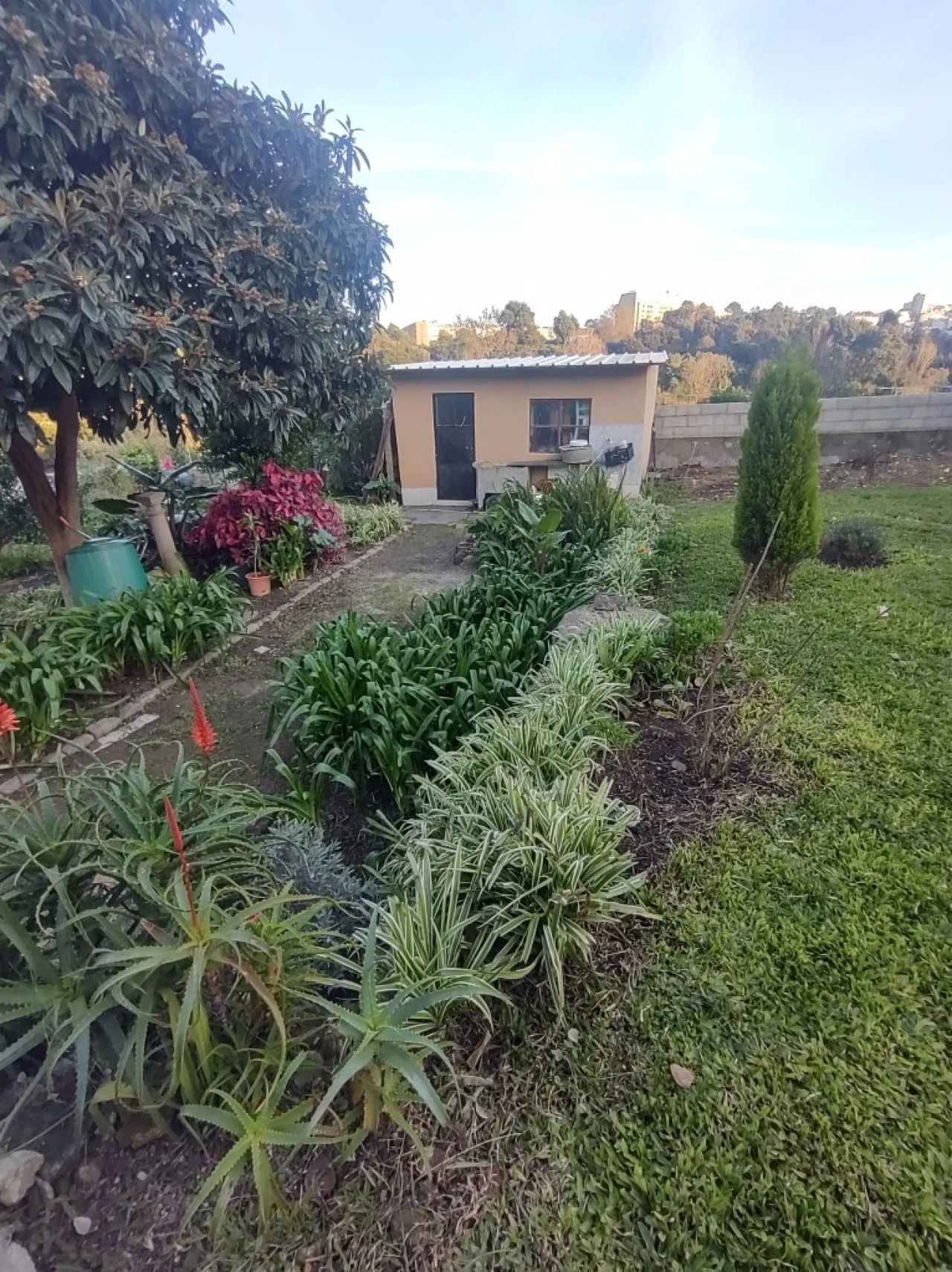 Moradia T4 para Venda em Campanhã Foto 39