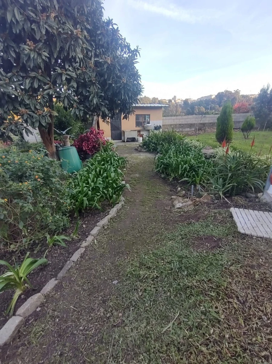 Moradia T4 para Venda em Campanhã Foto 40