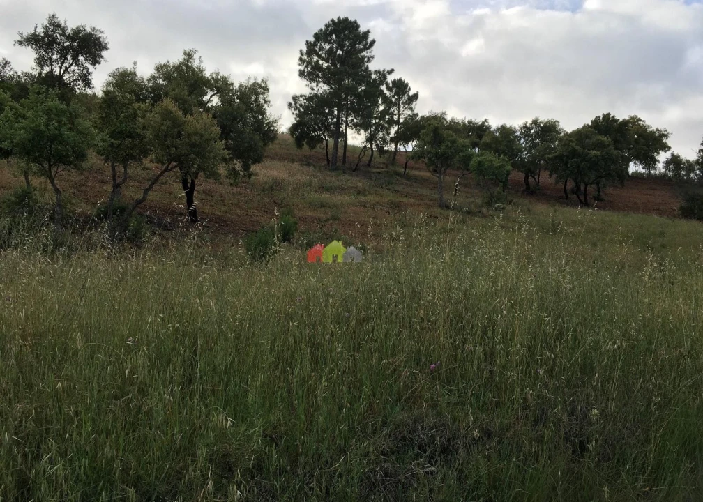 Terreno para Venda em Santa Catarina da Fonte do Bispo Foto 6