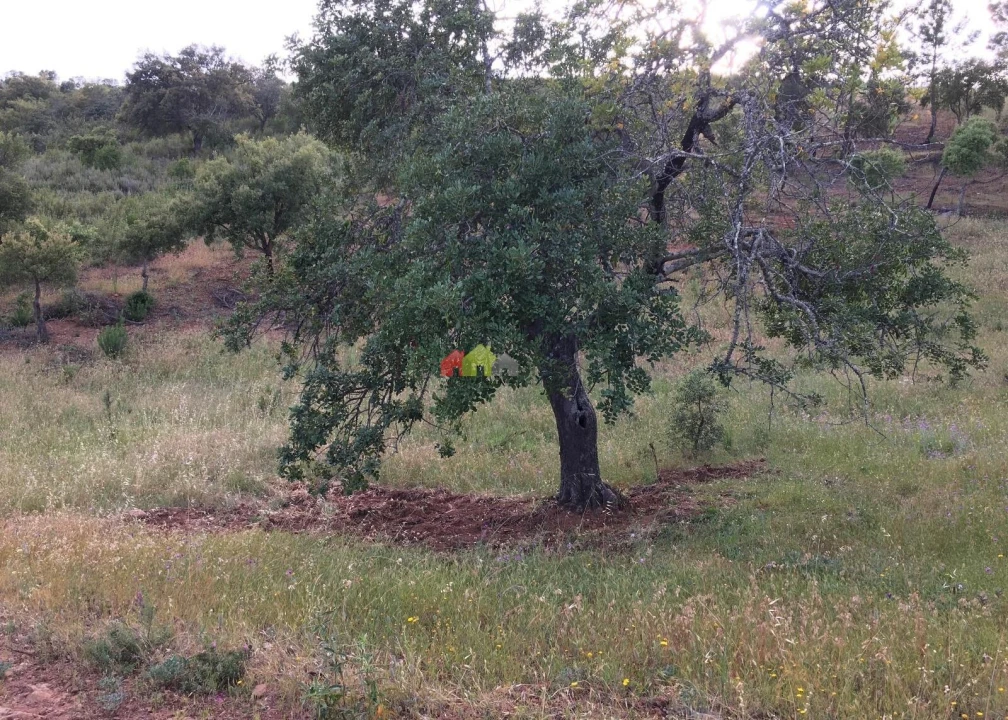Terreno para Venda em Santa Catarina da Fonte do Bispo Foto 15