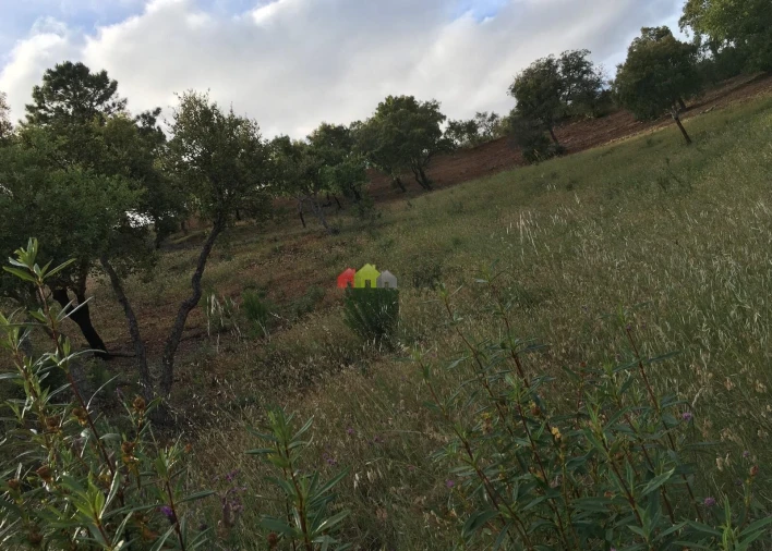 Terreno para Venda em Santa Catarina da Fonte do Bispo Foto 8