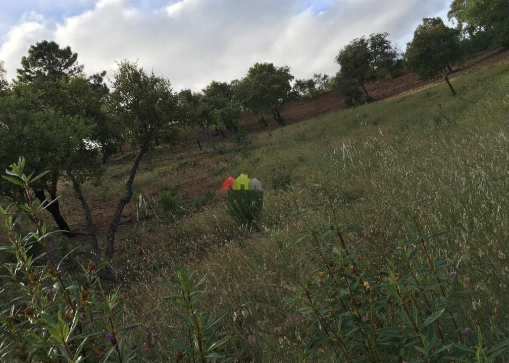 Terreno para Venda em Santa Catarina da Fonte do Bispo Foto 8