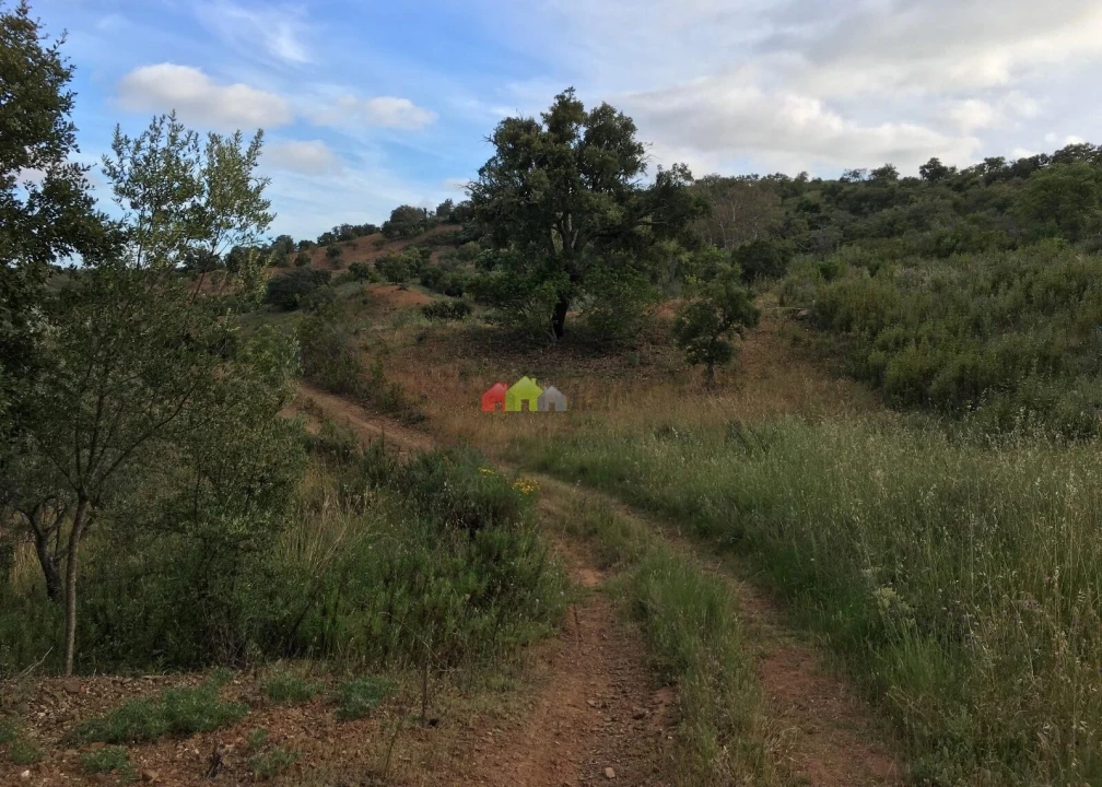 Terreno para Venda em Santa Catarina da Fonte do Bispo Foto 9