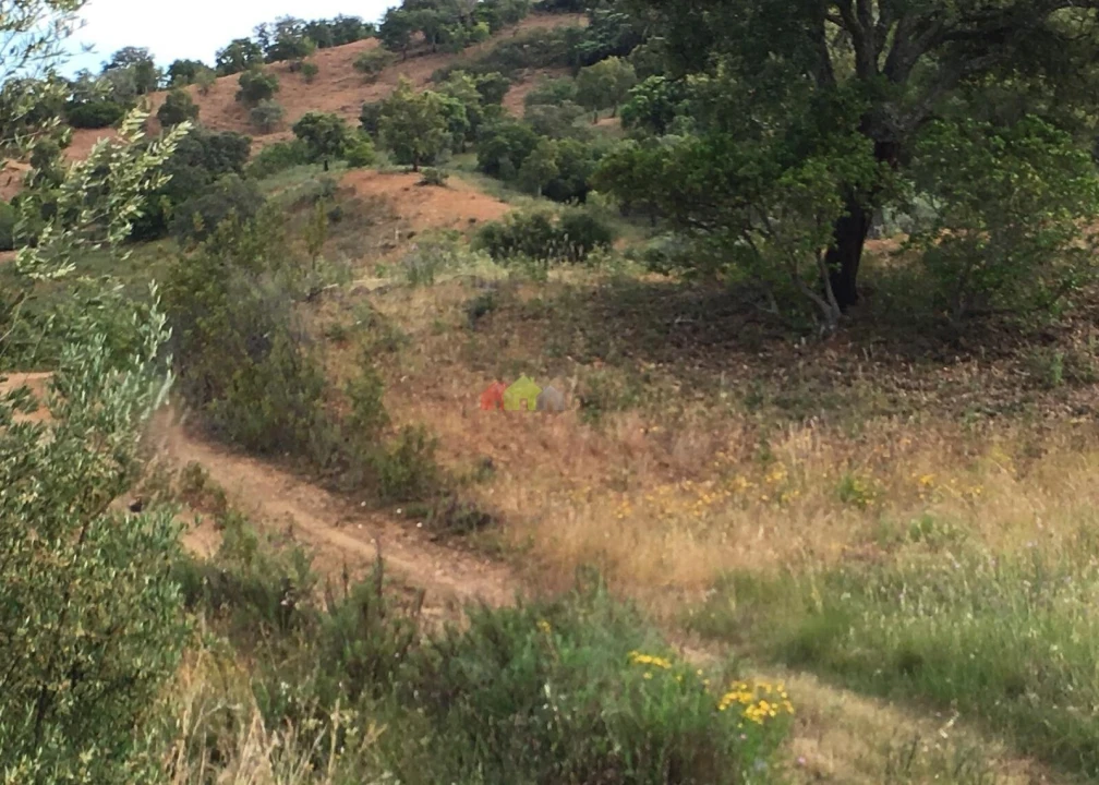 Terreno para Venda em Santa Catarina da Fonte do Bispo Foto 7
