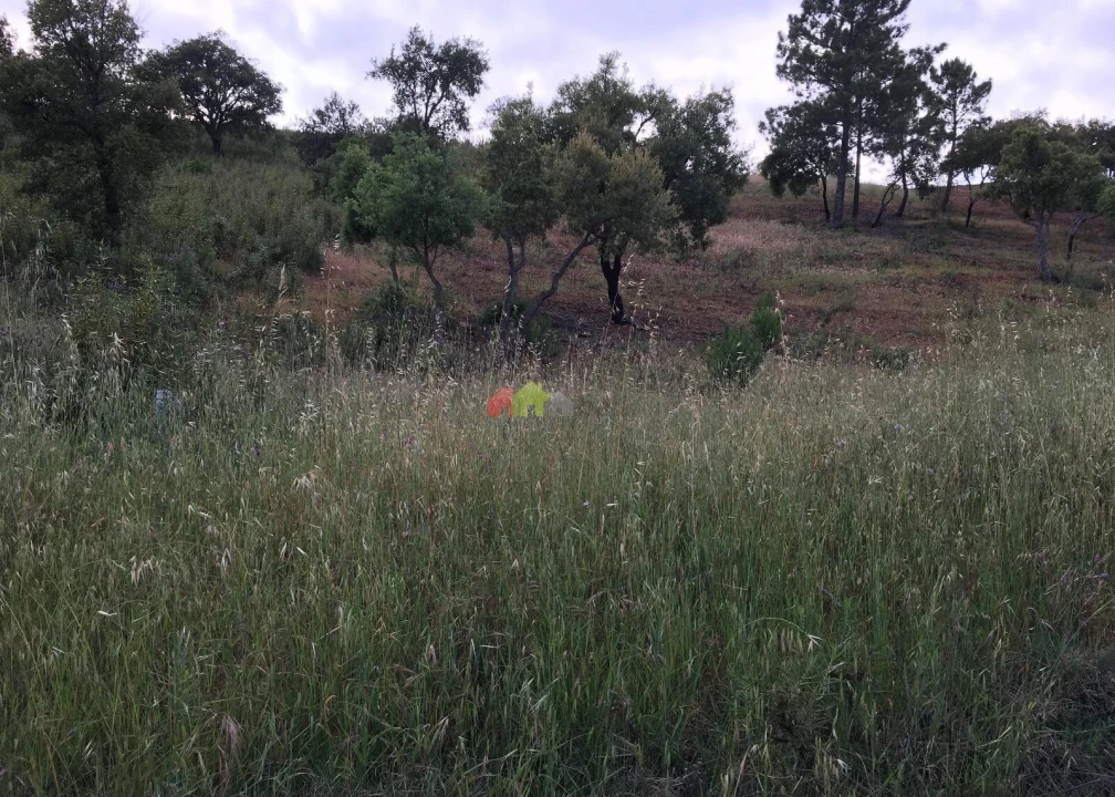 Terreno para Venda em Santa Catarina da Fonte do Bispo Foto 4