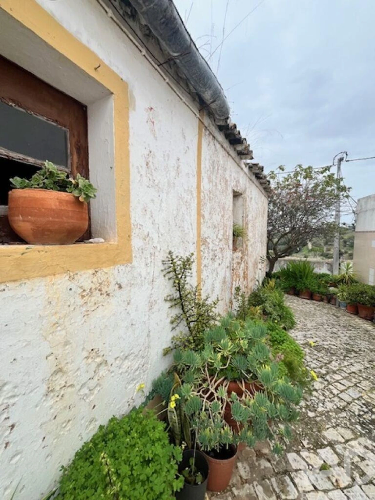 Moradia para Venda em Alcantarilha e Pêra Foto 7
