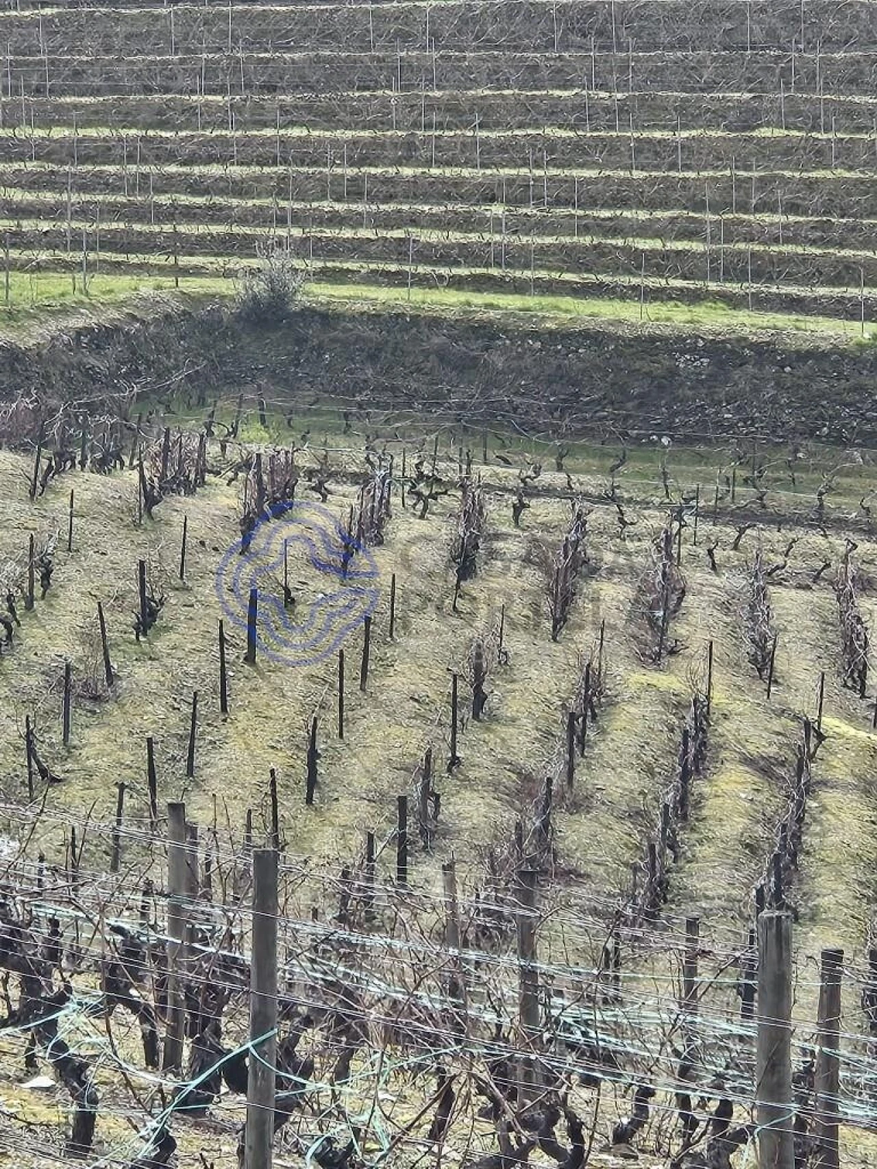 Terreno para Venda em Candedo Foto 1