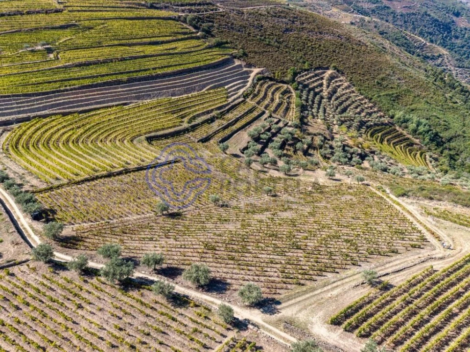 Terreno para Venda em Candedo Foto 2
