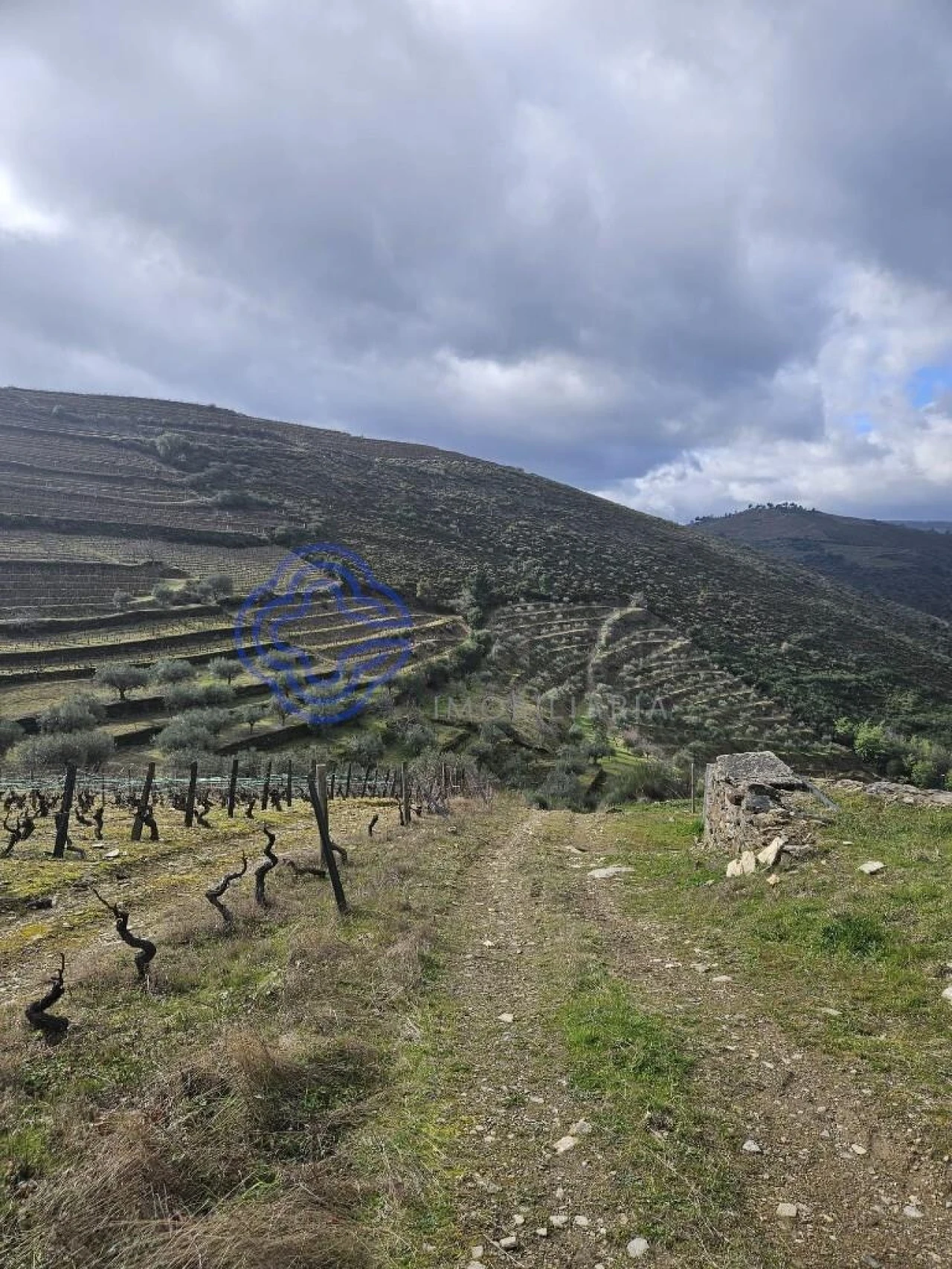 Terreno para Venda em Candedo Foto 12