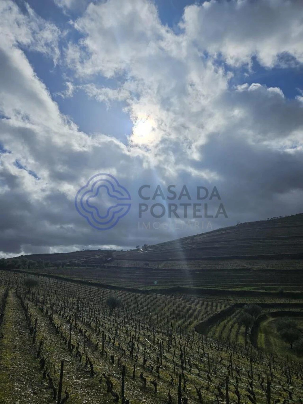 Terreno para Venda em Candedo Foto 22