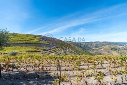 Terreno para Venda em Candedo