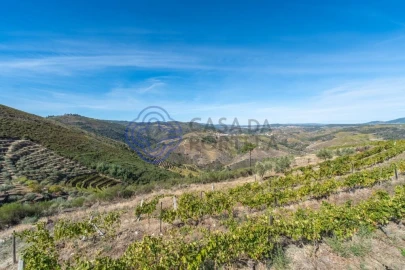 Terreno para Venda em Candedo