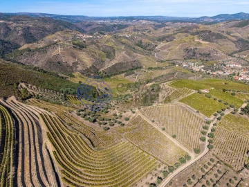Terreno para Venda em Candedo
