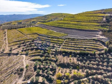 Terreno para Venda em Candedo