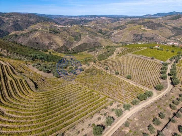 Terreno para Venda em Candedo