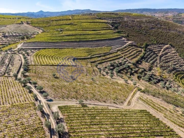 Terreno para Venda em Candedo