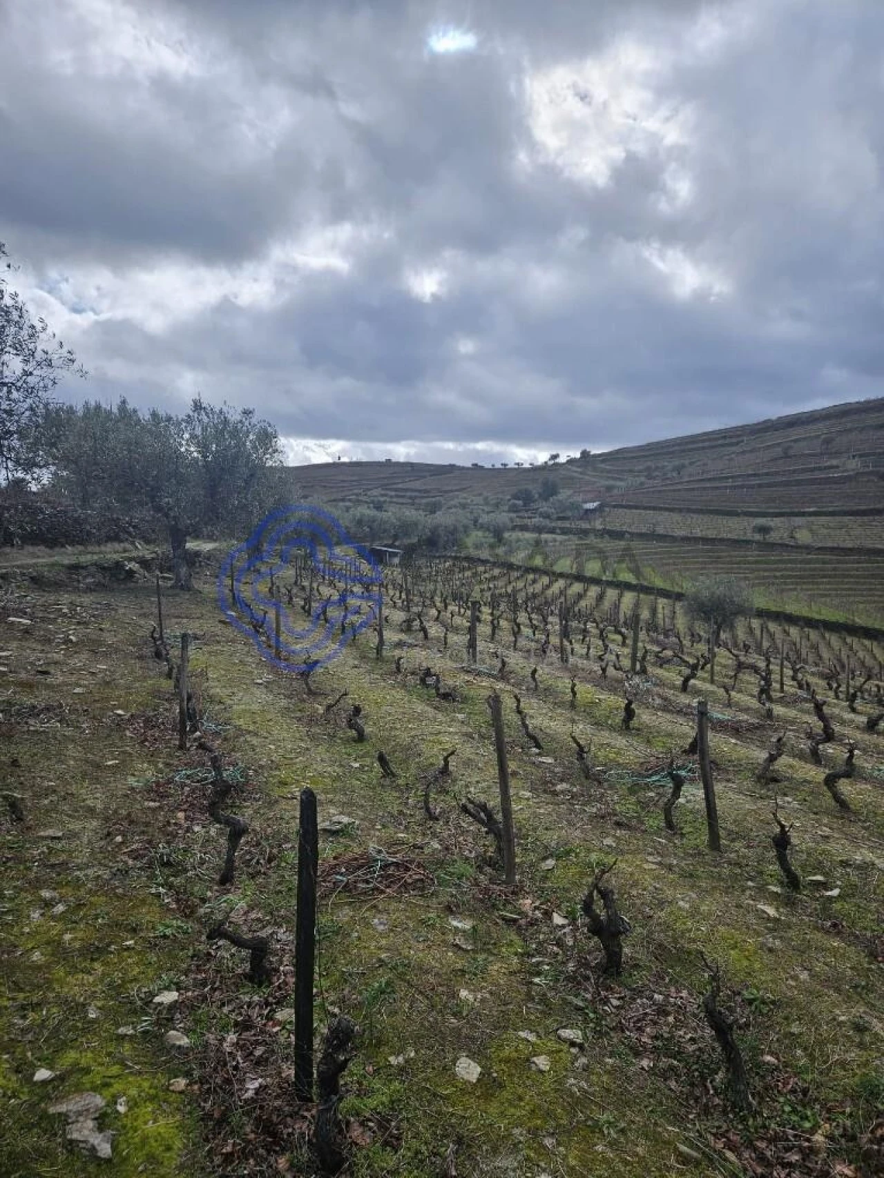 Terreno para Venda em Candedo Foto 21