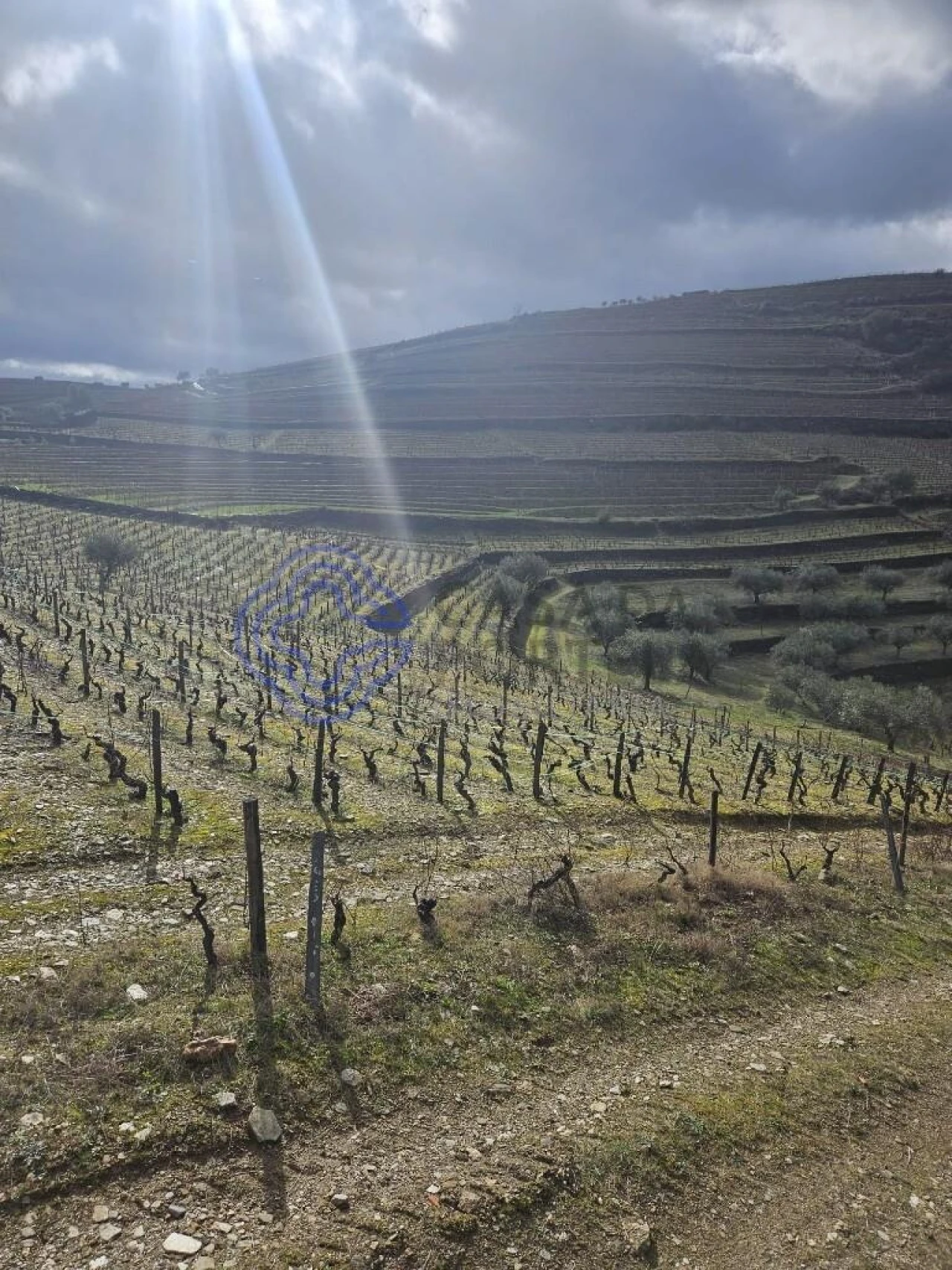 Terreno para Venda em Candedo Foto 17