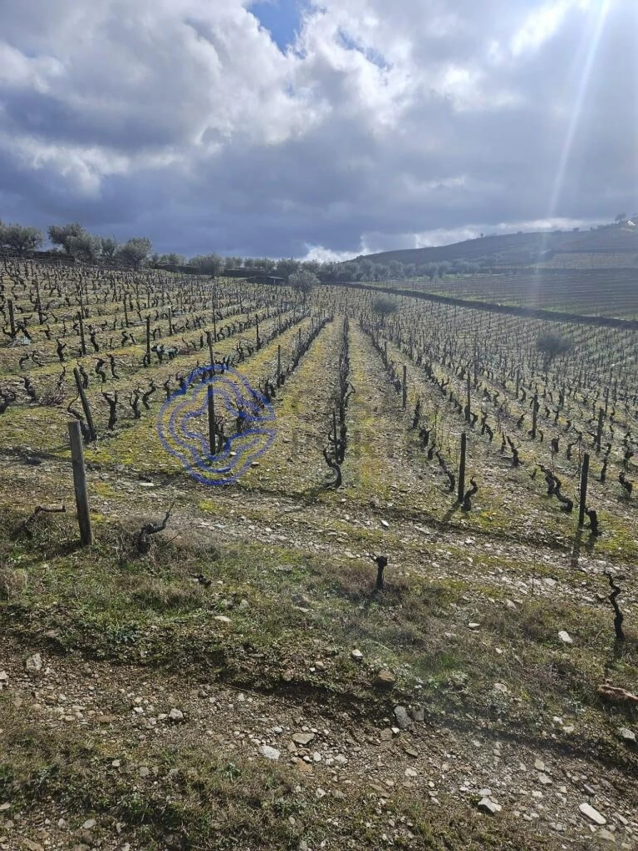 Terreno para Venda em Candedo Foto 16