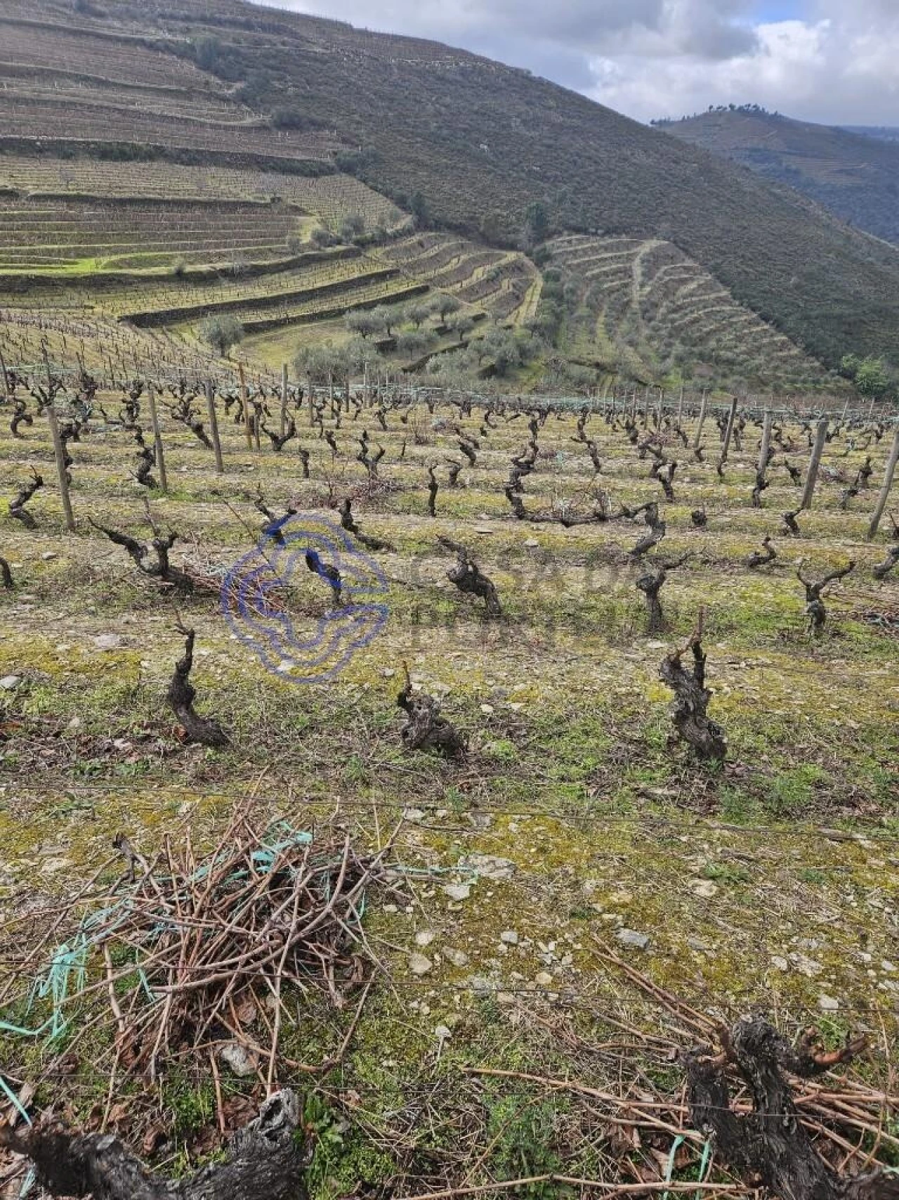 Terreno para Venda em Candedo Foto 19