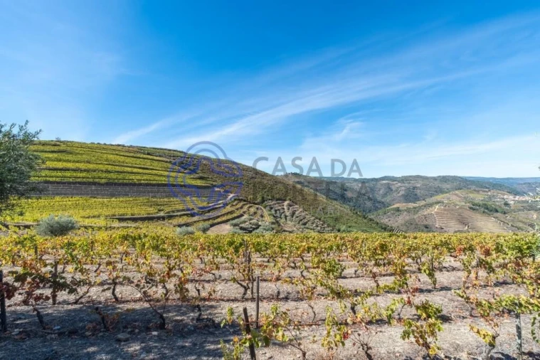 Terreno para Venda em Candedo Foto 4