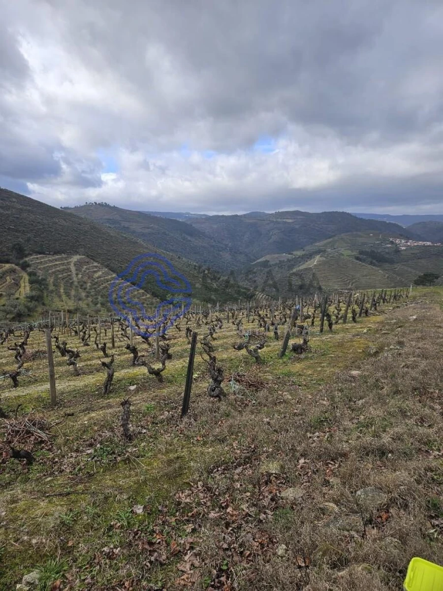 Terreno para Venda em Candedo Foto 27