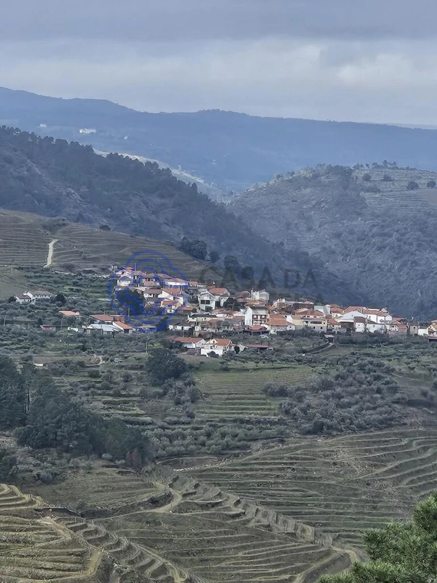 Terreno para Venda em Candedo Foto 11