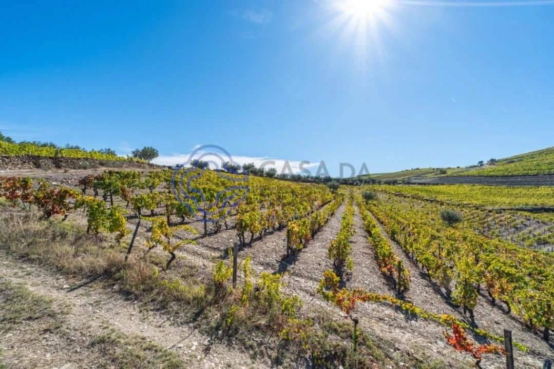 Terreno para Venda em Candedo Foto 10