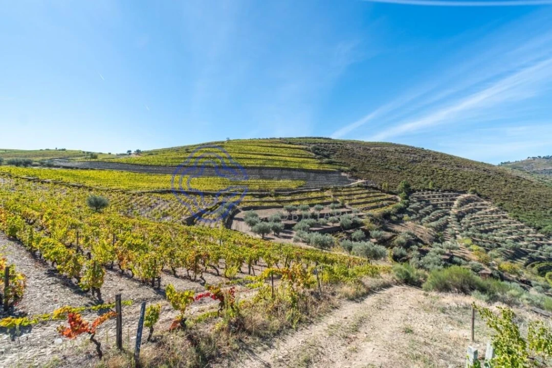 Terreno para Venda em Candedo Foto 9
