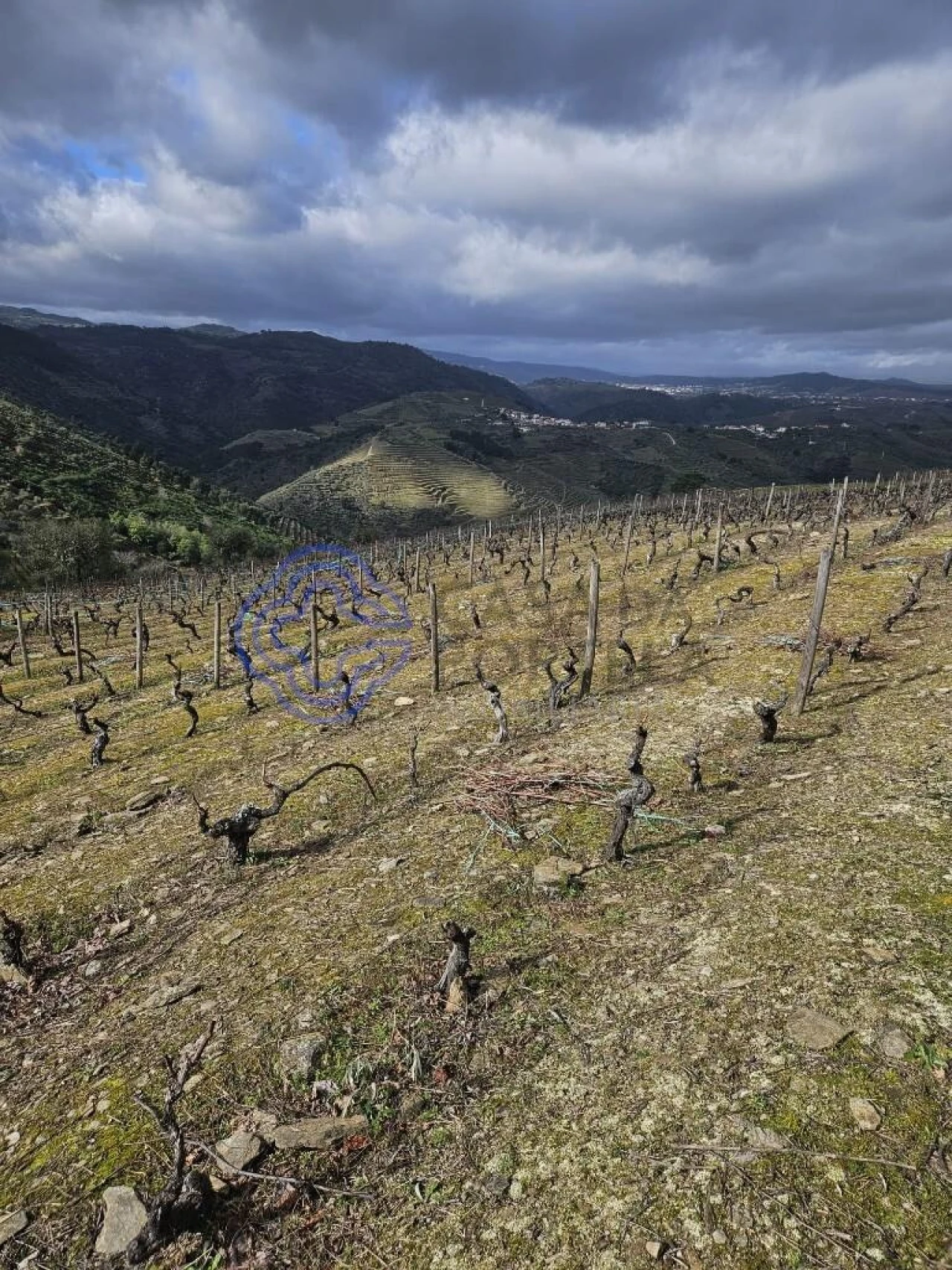 Terreno para Venda em Candedo Foto 8