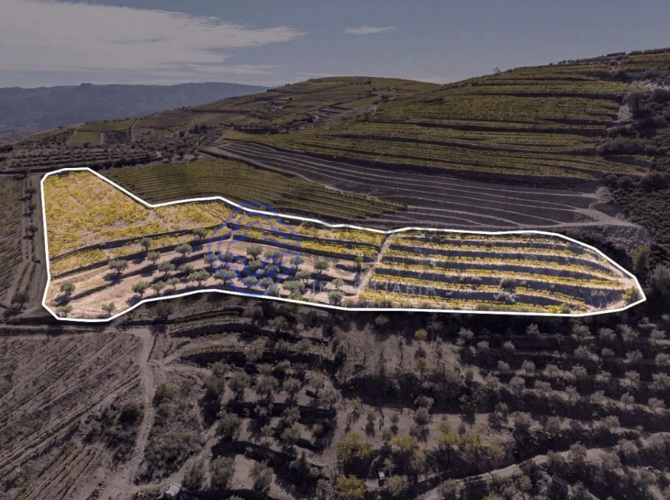 Terreno para Venda em Candedo Foto 1